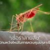นักวิทยาศาสตร์จากสหรัฐอเมริกาได้พัฒนาวิธีการใหม่ในการต่อสู้ก