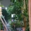 rt@aekaek28884362-2122-น.-วุฒากาศ42-เขตจอมทอง-กรุงเทพ-ทั้งล-|-2025-06-05-14:28:00