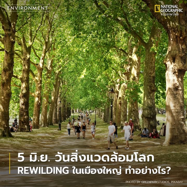 เพราะธรรมชาติไม่ใช่ของแปลกปลอม-หากแต่เป็นระบบพื้นฐานที่ทำให้
