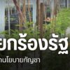 กฎหมายปลดล็อกกัญชา-หรือที่ชาวบ้านเรียกกว่ากฎหมายกัญชาเสรี-มี