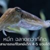 นักวิจัยจากมหาวิทยาลัยเคมบริดจ์เผยผลการทดลองชิ้นใหม่ที่ตีพิม