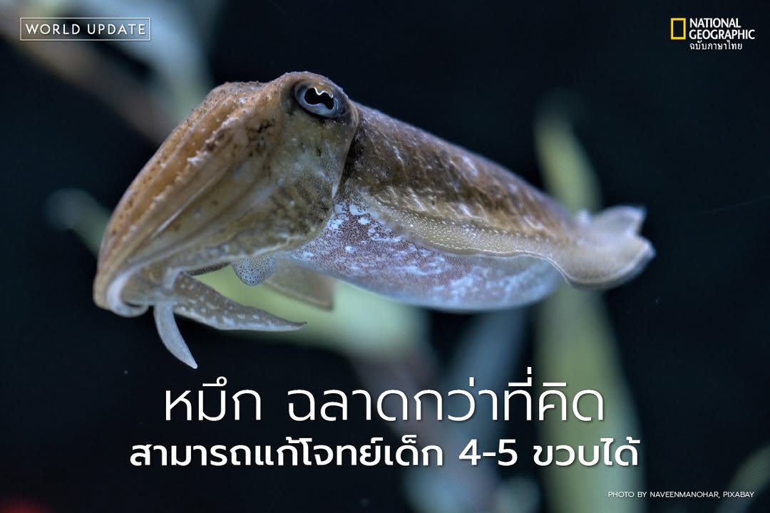 นักวิจัยจากมหาวิทยาลัยเคมบริดจ์เผยผลการทดลองชิ้นใหม่ที่ตีพิม
