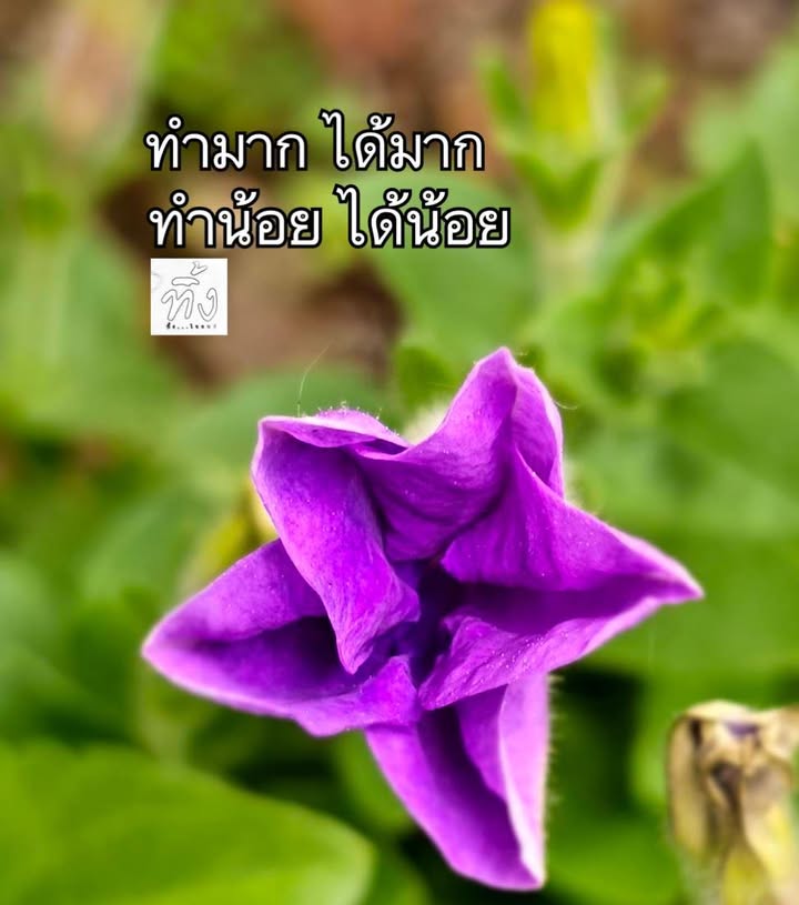 ทำมาก-ได้มาก-ทำน้อย-ได้น้อย-พระผู้มีพระภาคตรัสว่า-ภิกษุทั้ง-|-2025-06-07-13:44:00