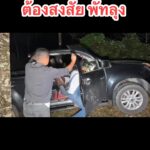 พัทลุง-ไล่ล่าระทึก-ระทึกกลางดึก-ไล่ล่ารถกระบะต้องสงสัย-ถอ-|-2025-06-04-10:16:00