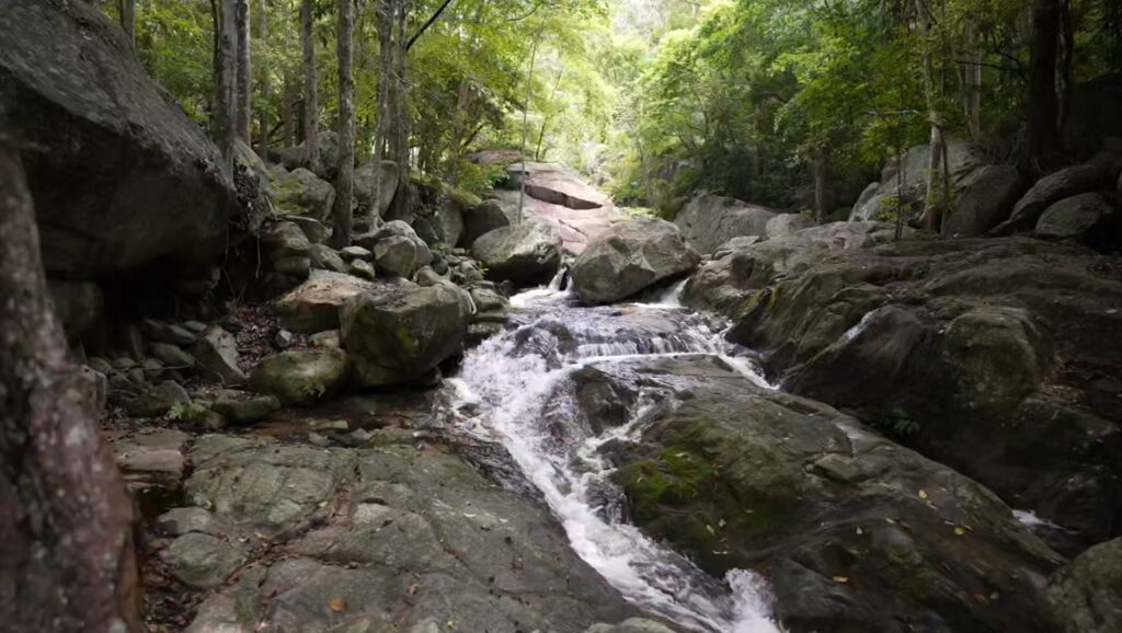 พักกาย-พักใจ-ท่องเที่ยวแบบ-จังหวัดเดียว-ได้ถึง-5-อุทยานแห่งชาติ-#