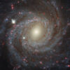 ผ่าน-ngc-3344