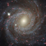 ผ่าน-ngc-3344