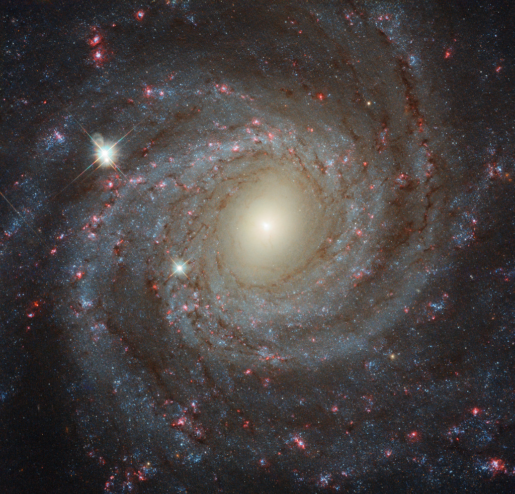 ผ่าน-ngc-3344