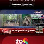 ทหารกัมพูชา-ถอย-กลบคูเลตแล้ว-|-ลุยชนข่าว-ออนไลน์-|-8-มิ.ย