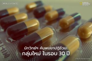 ทีมนักวิจัยจากมหาวิทยาลัยแมคมาสเตอร์-ประเทศแคนาดา-ประกาศการค