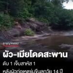 สุดหดหู่
