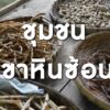 pr-content-ใครจะคิดว่า…เมล็ดเล็ก-ๆ-หนึ่งเมล็ด-จะเปลี่ยนช