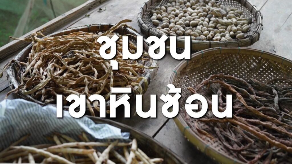 pr-content-ใครจะคิดว่า…เมล็ดเล็ก-ๆ-หนึ่งเมล็ด-จะเปลี่ยนช