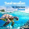 -วันเต่าทะเลโลก-(world-sea-turtle-day)-ตรงกับวันที่-16-มิถุ