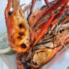 กุ้งแม่น้ำบางปะกง-ขอบคุณสท.เอ็กซ์-ท่าสะอ้าน-ส่งกุ้งแม่น้ำบา-|-2025-06-16-11:26:00