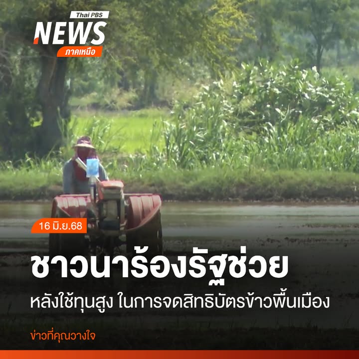 ชาวนาในจังหวัดนครสวรรค์ปัจจุบันต้องสู้กับราคาตกต่ำไม่พอ-ยังต