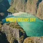 ทำความสะอาดหาดนพรัตน์ธารา-เฉลิมฉลอง-วันทะเลโลก-8-มิย.-68