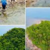 กรมทรัพยากรทางทะเลและชายฝั่ง-โดย-สำนักงานทรัพยากรทางทะเลและ