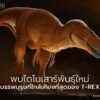 ตามรายงานที่เผยแพร่ไว้บนวารสาร-nature-สมาชิกตัวใหม่ล่าสุดของ