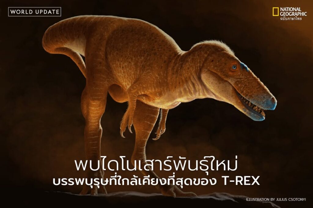 ตามรายงานที่เผยแพร่ไว้บนวารสาร-nature-สมาชิกตัวใหม่ล่าสุดของ