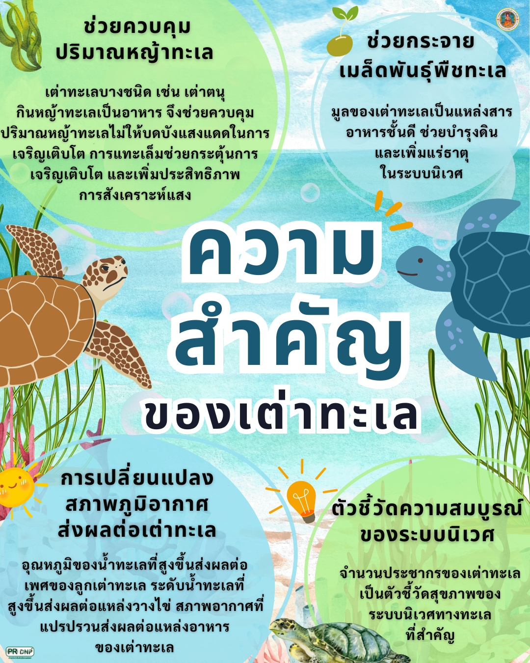 เพราะอะไรเราถึงต้อง-อนุรักษ์เต่าทะเล-ที่มาข้อมูล-:-กรมทรัพ