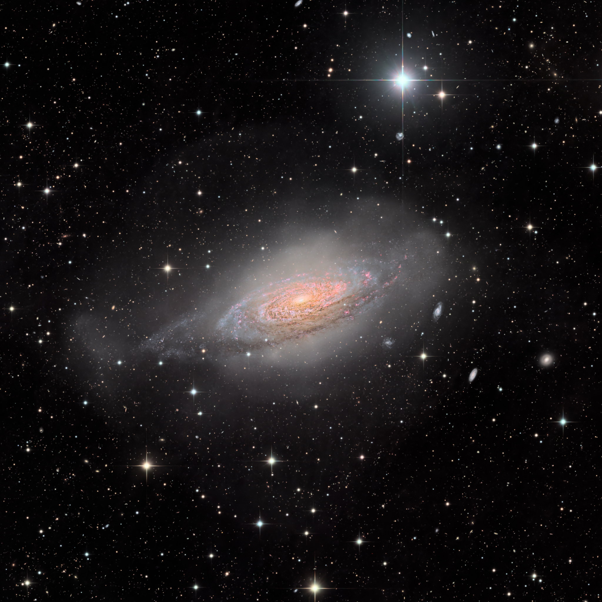 ngc-3521:-galaxy-ในฟองสบู่