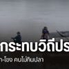 ผลกระทบจากสารหนูปนเปื้อนสารพิษในแม่น้ำกก-แม่น้ำโขง-แม่น้ำรวก