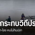 ผลกระทบจากสารหนูปนเปื้อนสารพิษในแม่น้ำกก-แม่น้ำโขง-แม่น้ำรวก