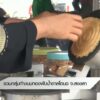 รวมกลุ่มทำขนมทองพับน้ำตาลโตนด-จ.สงขลา--#thai