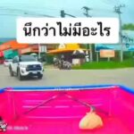 vigo-️-mu-x-crเเฟนเพจ.
