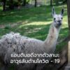 นักวิจัยจากศูนย์เทคโนโลยีชีวภาพทางการแพทย์-vib-ugent-ในประเท