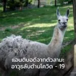นักวิจัยจากศูนย์เทคโนโลยีชีวภาพทางการแพทย์-vib-ugent-ในประเท