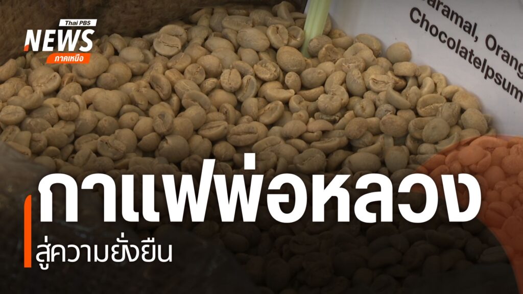 กาแฟ-กลายเป็นหนึ่งในพืชเศรษฐกิจของชาวชุมชนพื้นที่สูง-ที่หันม