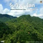 22-มิถุนายน-“วันป่าฝนโลก”-วันที่-22-มิถุนายนของทุกปีตรงกับวั