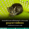 เจ้าหน้าที่ส่วนอนุรักษ์สัตว์ป่า-สำนักบริหารพื้นที่อนุรักษ์ที