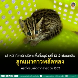 เจ้าหน้าที่ส่วนอนุรักษ์สัตว์ป่า-สำนักบริหารพื้นที่อนุรักษ์ที