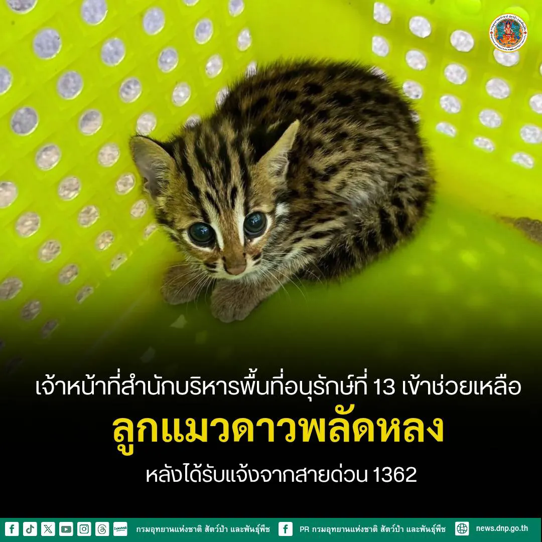 เจ้าหน้าที่ส่วนอนุรักษ์สัตว์ป่า-สำนักบริหารพื้นที่อนุรักษ์ที