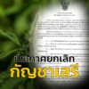 รัฐบาล-ยกเลิก-“กัญชาเสรี”-นำไปใช้ทางการแพทย์เท่านั้น-(feed-g-|-2025-06-24-14:02:00