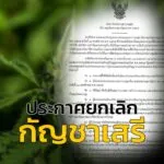 รัฐบาล-ยกเลิก-“กัญชาเสรี”-นำไปใช้ทางการแพทย์เท่านั้น-(feed-g-|-2025-06-24-14:02:00
