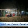 แม่ค้าเปิดขายเมนูบ้านๆ-กลางป่ายางแต่ขายดี-จ.ตรัง-ข่าวที่คุณ