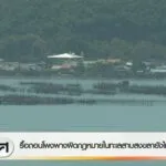 สด…ริมทะเลสาบสงขลา-อ.เมืองสงขลา-–-พบการก่อสร้างโฮมสเตย์เพิ
