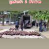 จับไม้พะยูง-สืบโรงพักสิงหนครสืบภาค9ไหวพริบดีจับไม้พะยูง60ท่-|-2025-06-27-08:15:00