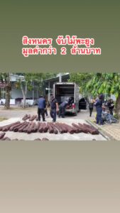จับไม้พะยูง-สืบโรงพักสิงหนครสืบภาค9ไหวพริบดีจับไม้พะยูง60ท่-|-2025-06-27-08:15:00
