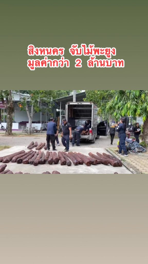 จับไม้พะยูง-สืบโรงพักสิงหนครสืบภาค9ไหวพริบดีจับไม้พะยูง60ท่-|-2025-06-27-08:15:00