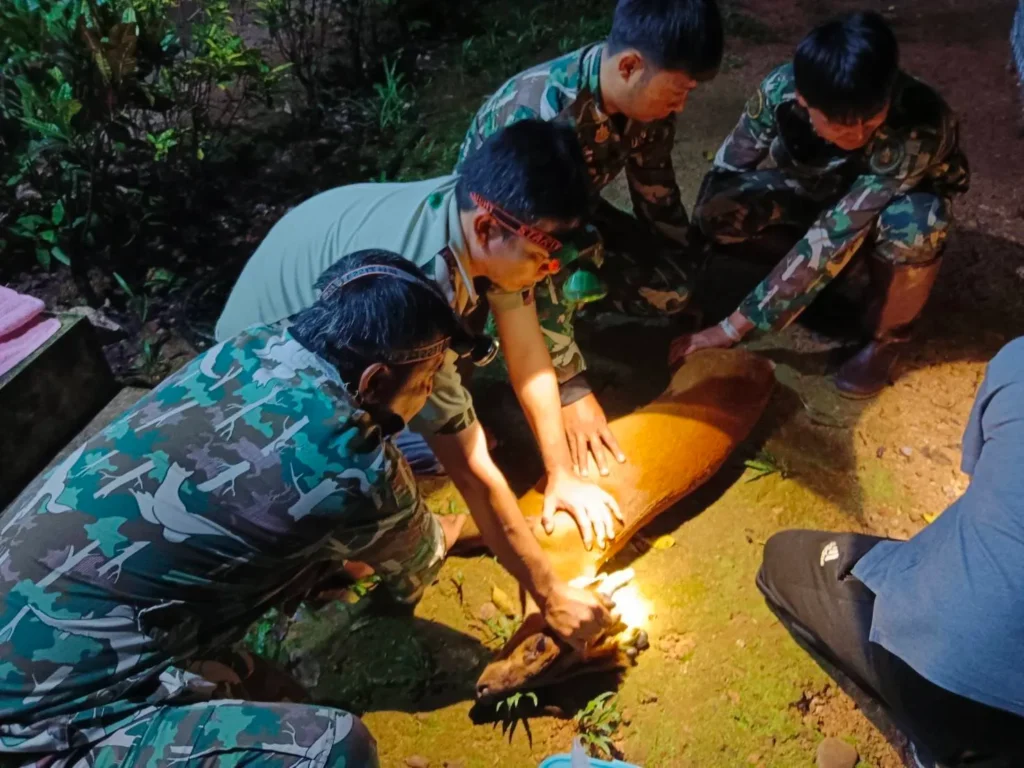 เจ้าหน้าที่-เขตรักษาพันธุ์สัตว์ป่าลุ่มน้ำปาย-ร่วมกับหน่วยงาน
