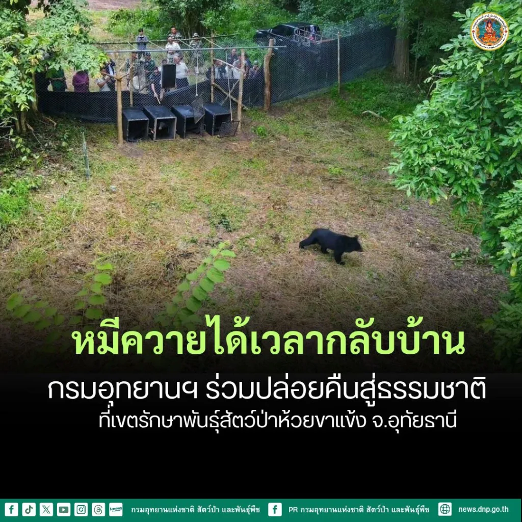 หมีควาย-4-ตัว-“กองทัพ-น้ำเมย-เจ้าขุน-เจ้าเขา”-กลับบ้าน-เ