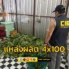 บุกทลายแหล่งผลิต-4×100-รวบพ่อค้ารายใหญ่-พร้อมน้ำกระท่อม-–-ยา-|-2025-06-29-20:58:00