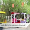 ชวนเด็กดูไข่เต่าไข่ห่าน-คาเฟ่แนวธรรมชาติ-จ.สุราษฎร์ธานี-ข่า