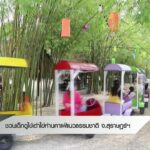 ชวนเด็กดูไข่เต่าไข่ห่าน-คาเฟ่แนวธรรมชาติ-จ.สุราษฎร์ธานี-ข่า