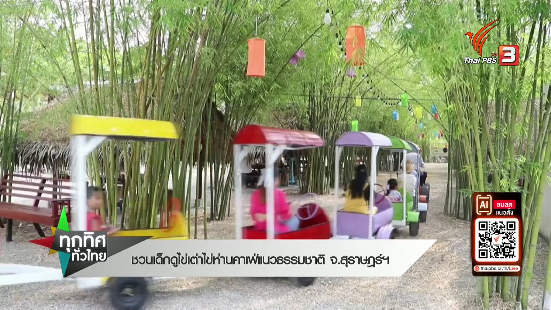 ชวนเด็กดูไข่เต่าไข่ห่าน-คาเฟ่แนวธรรมชาติ-จ.สุราษฎร์ธานี-ข่า